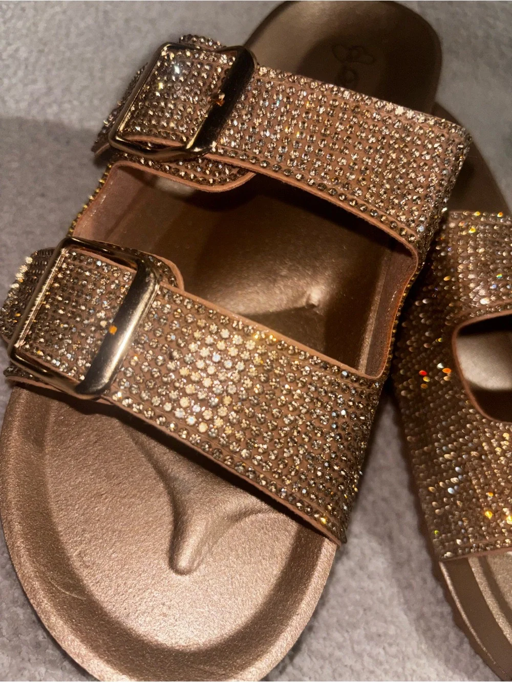 Embellished Double-Buckle Slide Sandals in Champagne